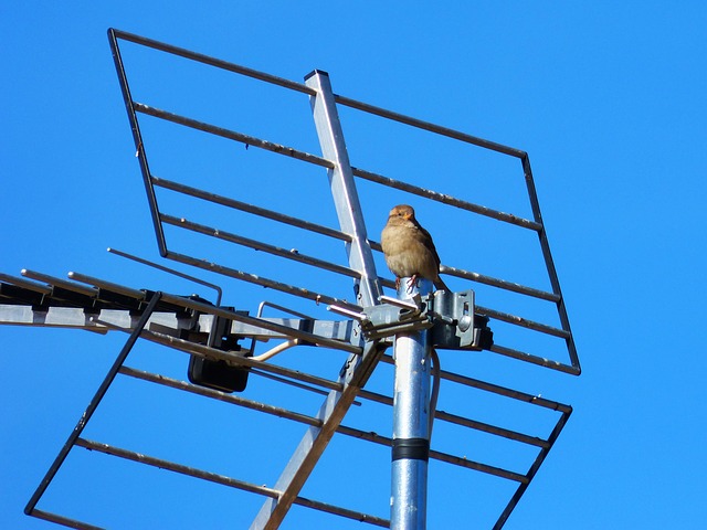 antenne